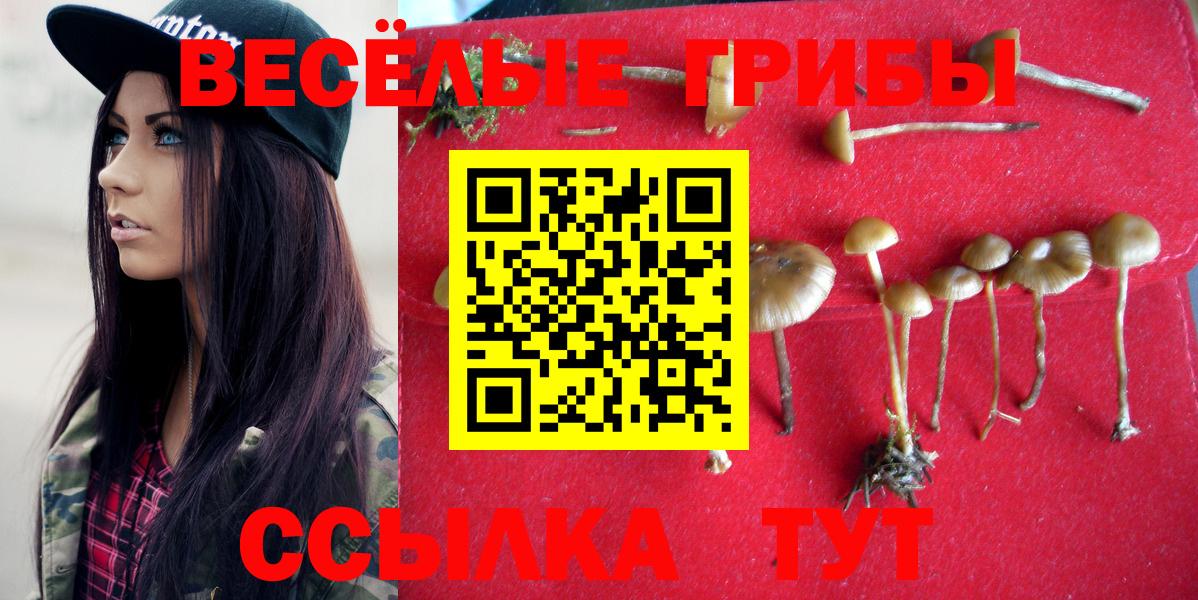 ТГК Новодвинск