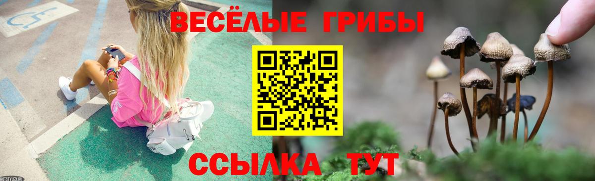 Новодвинск  Псилоцибиновые грибы мицелий  Вход с VPN 